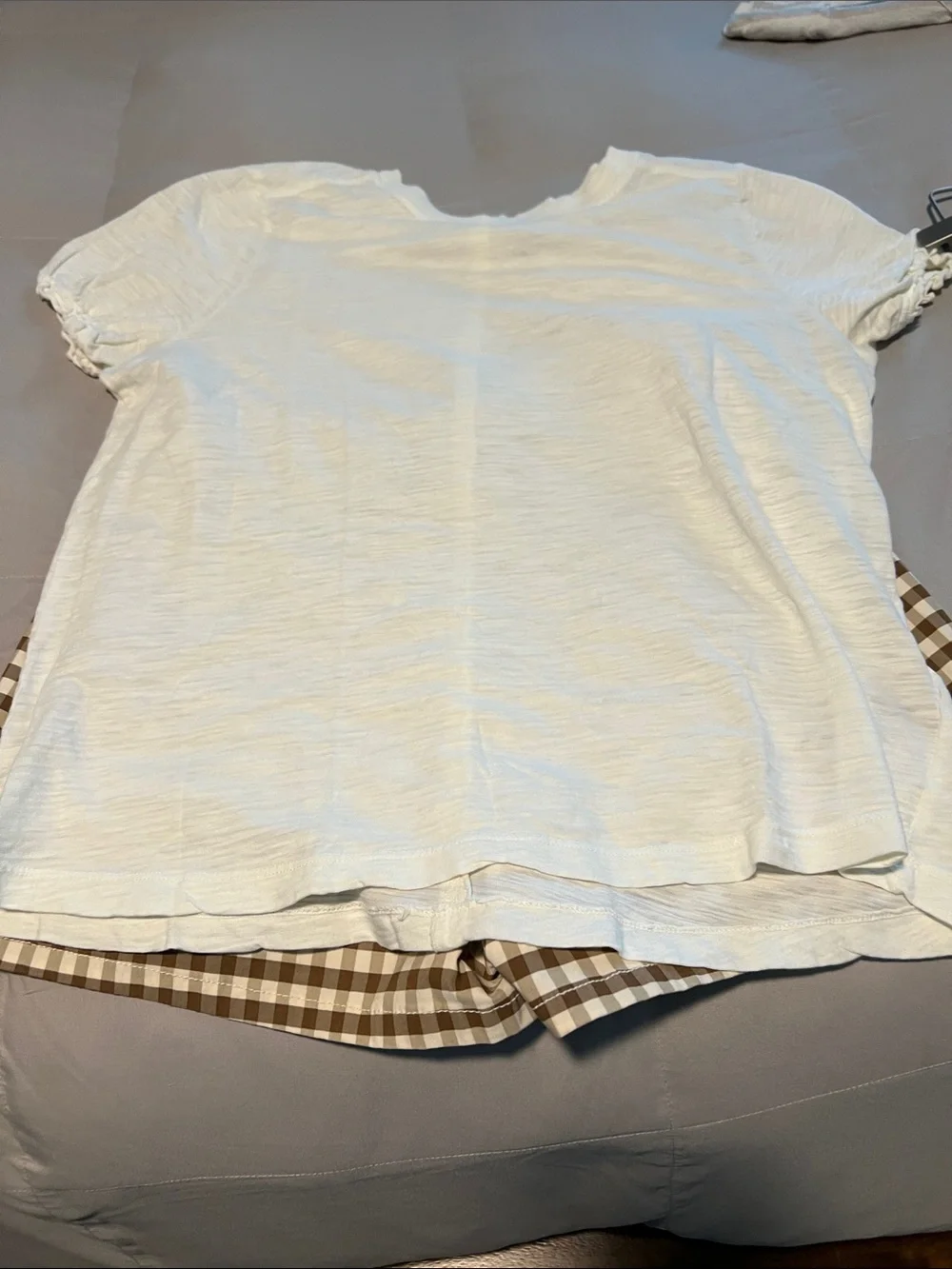 Outfit - Maeve Collette Brown Gingham High-Waist Shorts and Pilcro Ivory Top